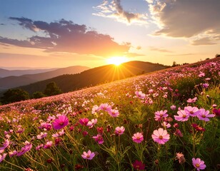 Vibrant sunset over a hillside of wildflowers