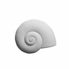 Obraz premium White Spiral Snail Shell Isolated on White Background.