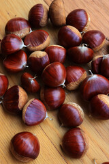 Many ripe chestnuts  on wooden background on selective focus. Castanea sativa seeds