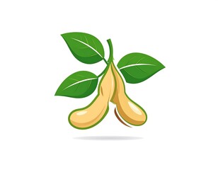 Soybeans with leaves on a branch