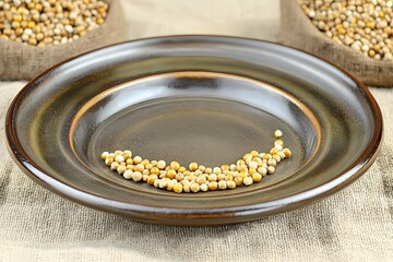Closeup of Coriander Seeds on Rustic Plate