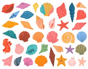 Colorful collection of seashells and starfish
