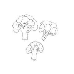 Cauliflower illustration minimalist 