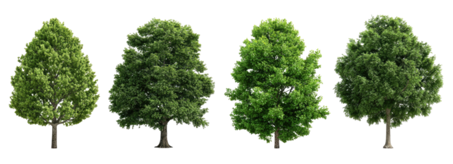 Four green trees against a black background