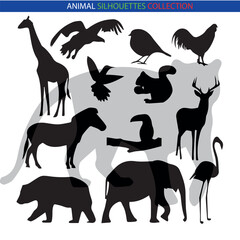 Animal Silhouette Collection – Wildlife, Pets, Birds, and Marine Creatures