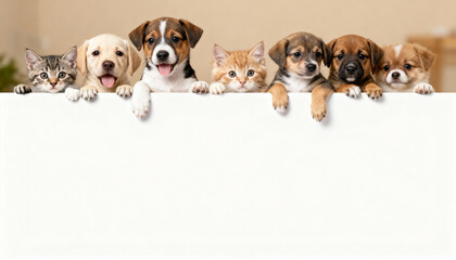 A large group of adorable puppies and kittens peeking over a blank white sign. Cute cats and dogs together holding a banner with empty copy space for a message or text.