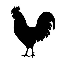 Black rooster silhouette vector illustration for farm animal designs and graphic resources needs