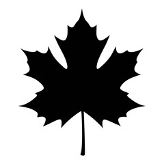 Download high resolution black maple leaf vector graphic for autumn and canada day designs