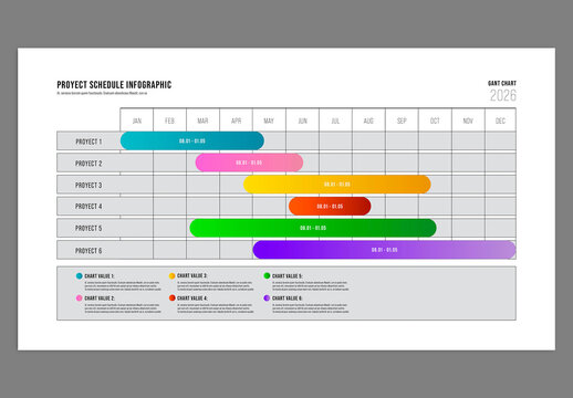 Proyect Schedule Infographic