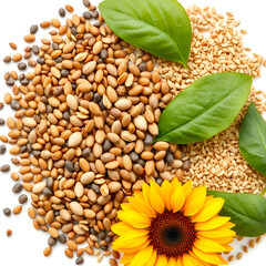 Obraz premium Artistic top view composition of mixed seeds including chia, flaxseed, pumpkin, sunflower, and sesame, emphasizing health benefits, isolated background
