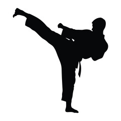Silhouette of karate fighter performing side kick martial arts training self defense pose action 90