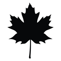 Black maple leaf vector graphic for autumn designs and canada day celebrations silhouette clip art
