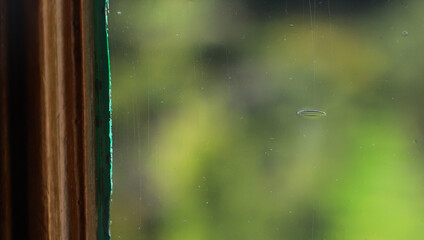 mus&eacute;e Claude Monet