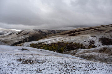 A beautiful autumn landscape with mountains and gorges in Altai, captured with a drone.