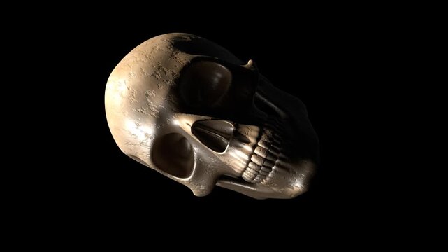 Photorealistic Human Skull Animation.A 3D animation of a highly detailed, photorealistic human skull. Perfect for projects with a mysterious, horror, or medical theme.
