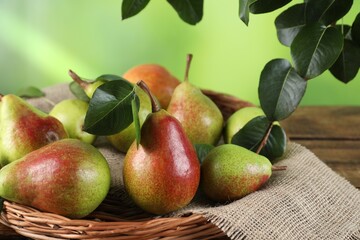 Fresh ripe pears with green leaves in wicker basket on table, closeup