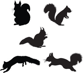 Squirrel Silhouette Set – Vector Illustrations in Different Poses