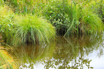 hortillonnages d'Amiens 