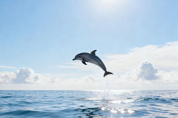 Dolphin leaping out of the ocean under a bright sunny sky