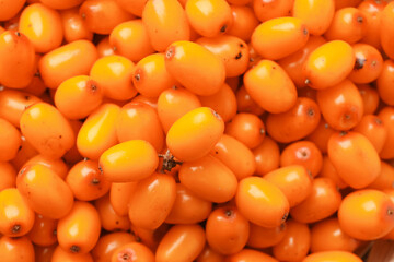 Fresh sea buckthorn berries as background, top view