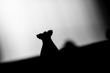 Black pieces of chess