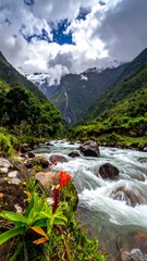 Mountain river cascading through valley