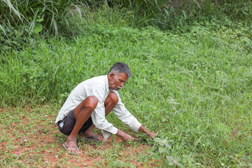 Old man working in the garden