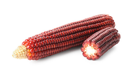 Ripe red corn cobs isolated on white