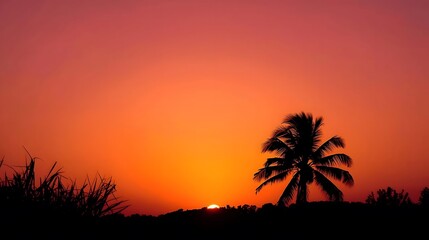 palm tree sunset , AI Generated.