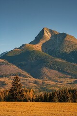 Stunning mountain peak Krivan rising above golden autumn trees and meadow under clear sky during sunset. Tranquil natural landscape ideal for hiking and nature lovers.