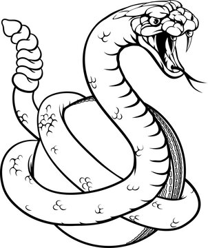 black and white snake coiled, striking pose clip art preview