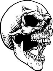 Skull Skeleton Head Vampire Grim Reaper