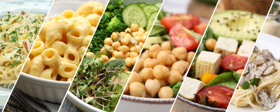 Mild taste food. Collection of dishes, banner design