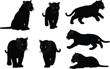Black tiger cub silhouettes collection, walking and sitting poses, jungle wildlife predator artwork, big cat illustration, safari design, wild feline animal