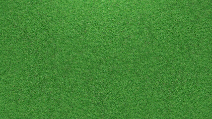 Lush green grass, top view. Banner design