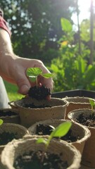 A hand carefully plants a seedling in a biodegradable pot. Sunlight highlights the nurturing process