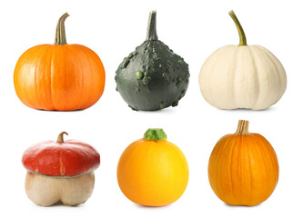 Fresh pumpkins isolated on white, set. Autumn vegetable