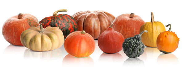 Many different fresh pumpkins isolated on white