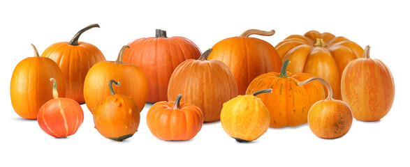 Many different fresh pumpkins isolated on white