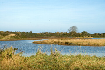Estuaire de l'Orne, Le Gros Banc, Epace naturel protégé, 14, Calvados, France