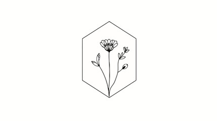 Delicate floral illustration featuring a flower and leaves inside a geometric hexagon shape on a white background.