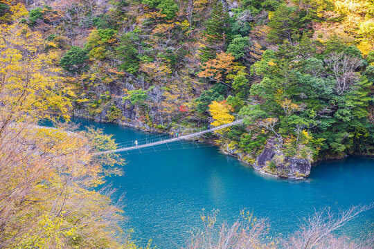 Autumn scenery of the Dream Suspension Bridge in Sumata Gorge, Shizuoka Prefecture
