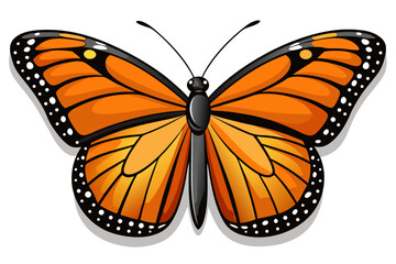 butterfly isolated on white background