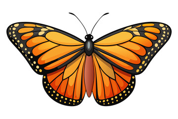 butterfly on white background