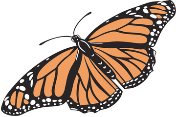 butterfly on a flower