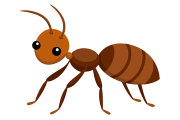 ant