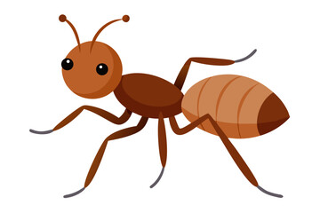 ant isolated on white