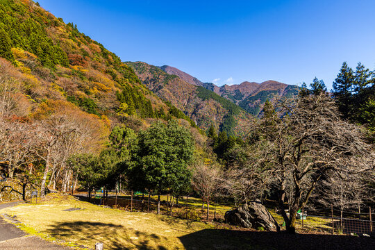 Autumn scenery of Sumata Gorge, Shizuoka Prefecture