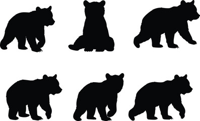 Silhouette of bear cubs in different poses, walking, sitting, standing, isolated wildlife vector illustration, wild animal design, black shape