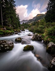 Mountain stream flowing through forest